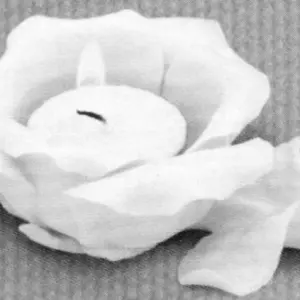 rós kertastjaki fyrir teljós